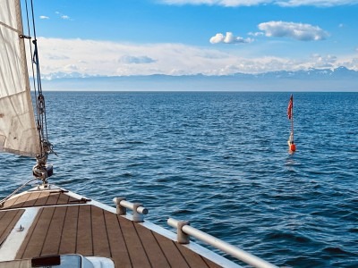 Wir haben statt Eiern eine Boje gefunden und natürlich auch gerettet!